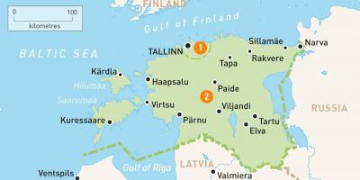 Mapa bat Estonia